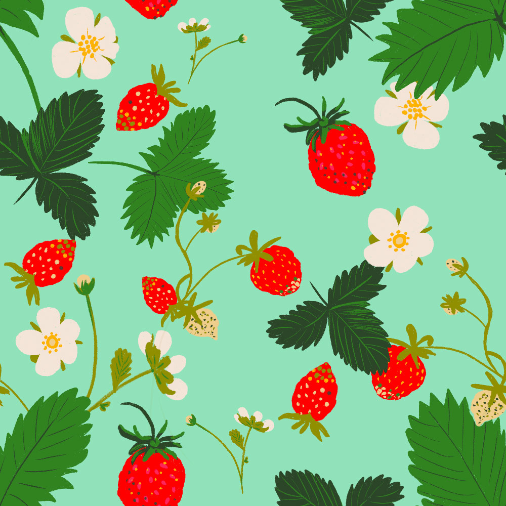 matulipani Portfolio Erdbeeren